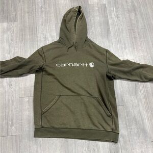 Carhartt Force Delmont Signature Graphic Hoodie Sweatshirt Mens XL Long READ DES